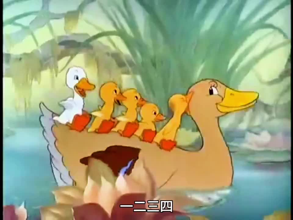 小鸭子每天照一次镜子，每次都被自己丑哭，殊不知自己是白天鹅