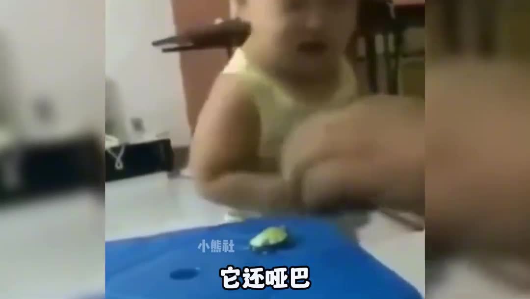 49. 盘点那些满级反骨仔,体重30斤反骨占29斤！