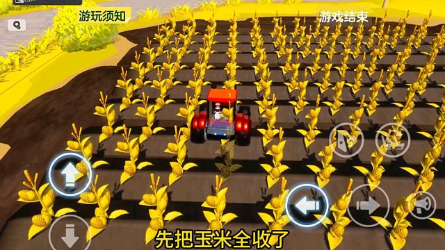 又是一年玉米种植的季节啦！（关于我在元梦之星体验应用市场那件事）