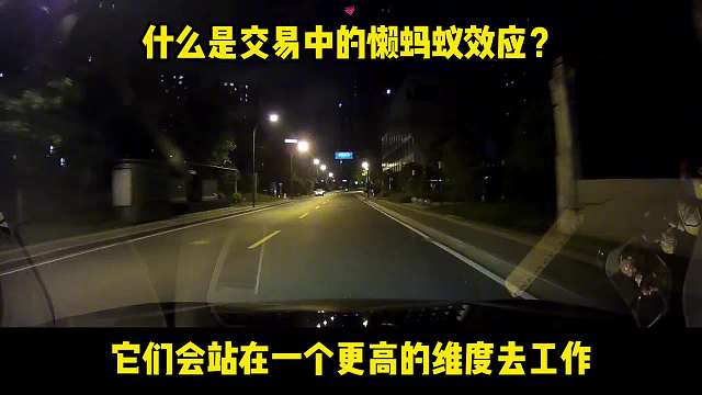 说的太通透了！为什么懒蚂蚁效应让很多高频交易者一下子顿悟了？