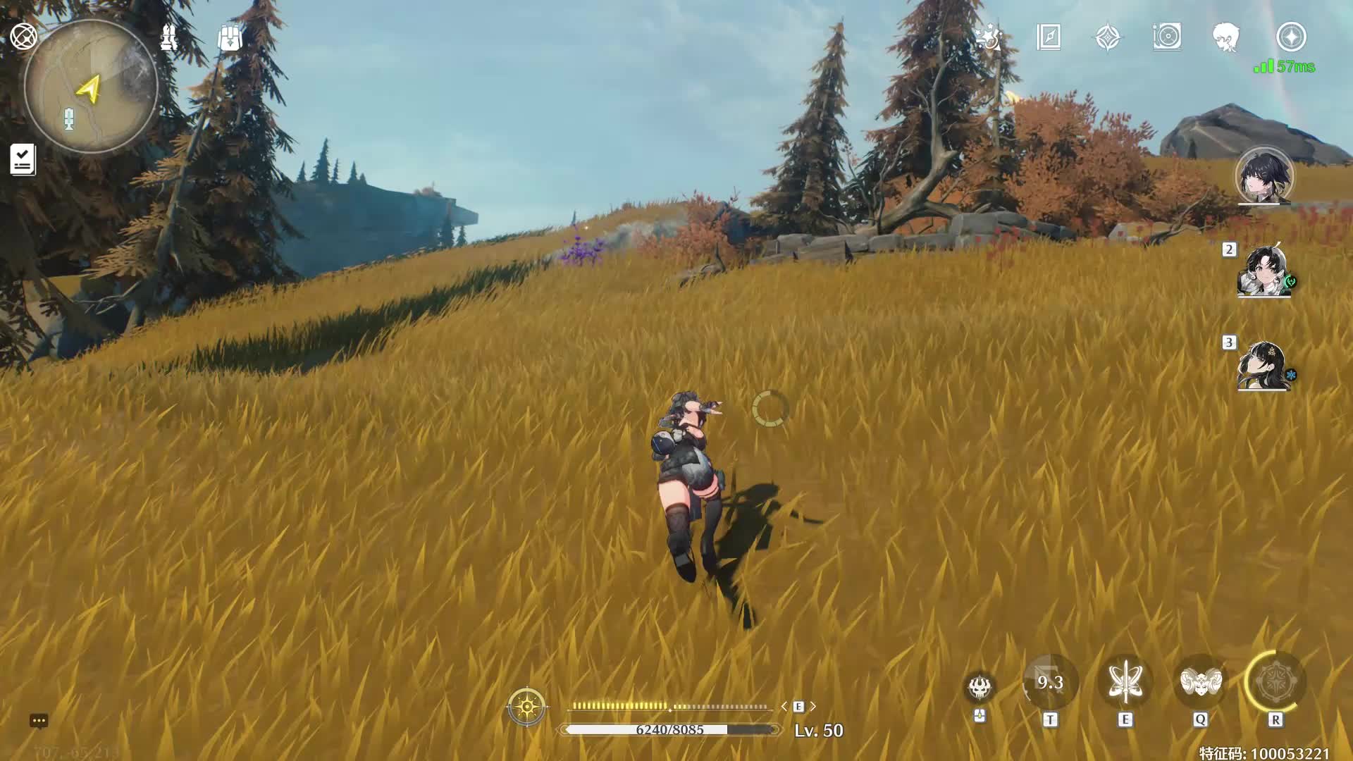 红针晶簇速刷锚点