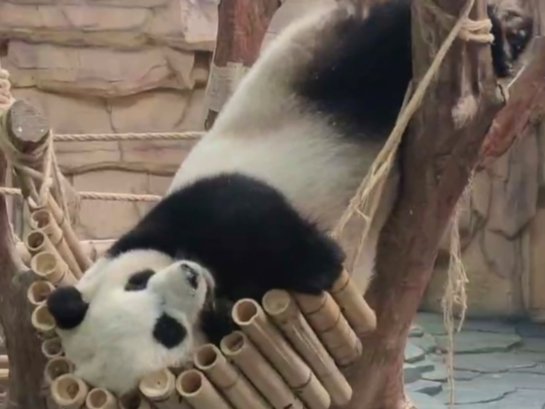 家具太久不拆真的容易吃灰！