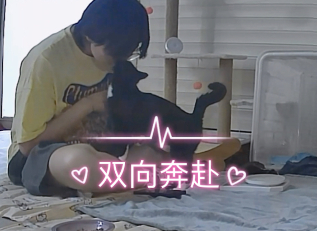 我想说我的猫咪好爱我不会是我自我感觉良好了吧