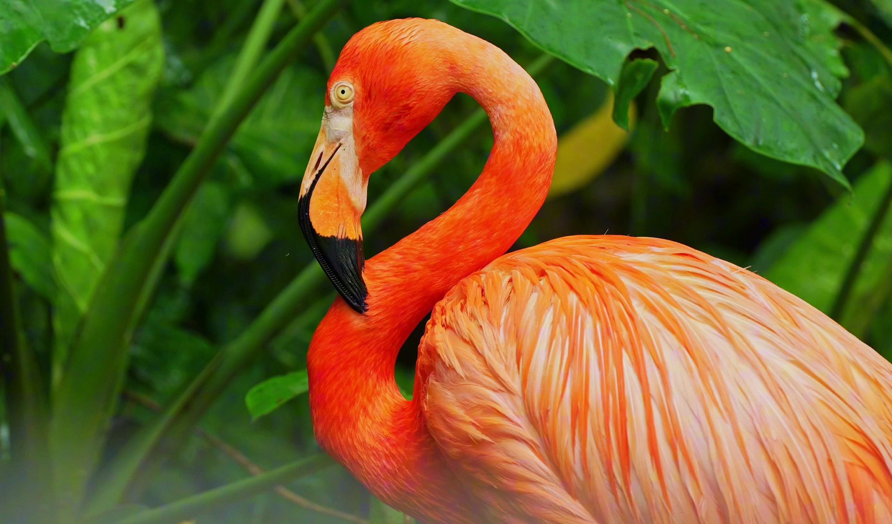 进来感受雨中海野的治愈力！
