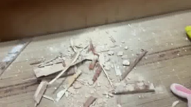 真佩服这种虫子，就干啃，也不用喝水的