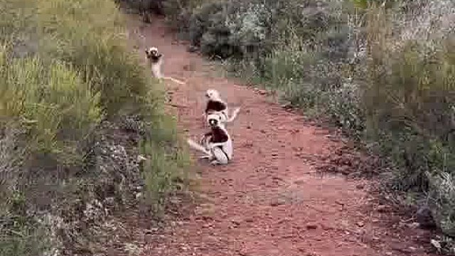 好小众的移动方式