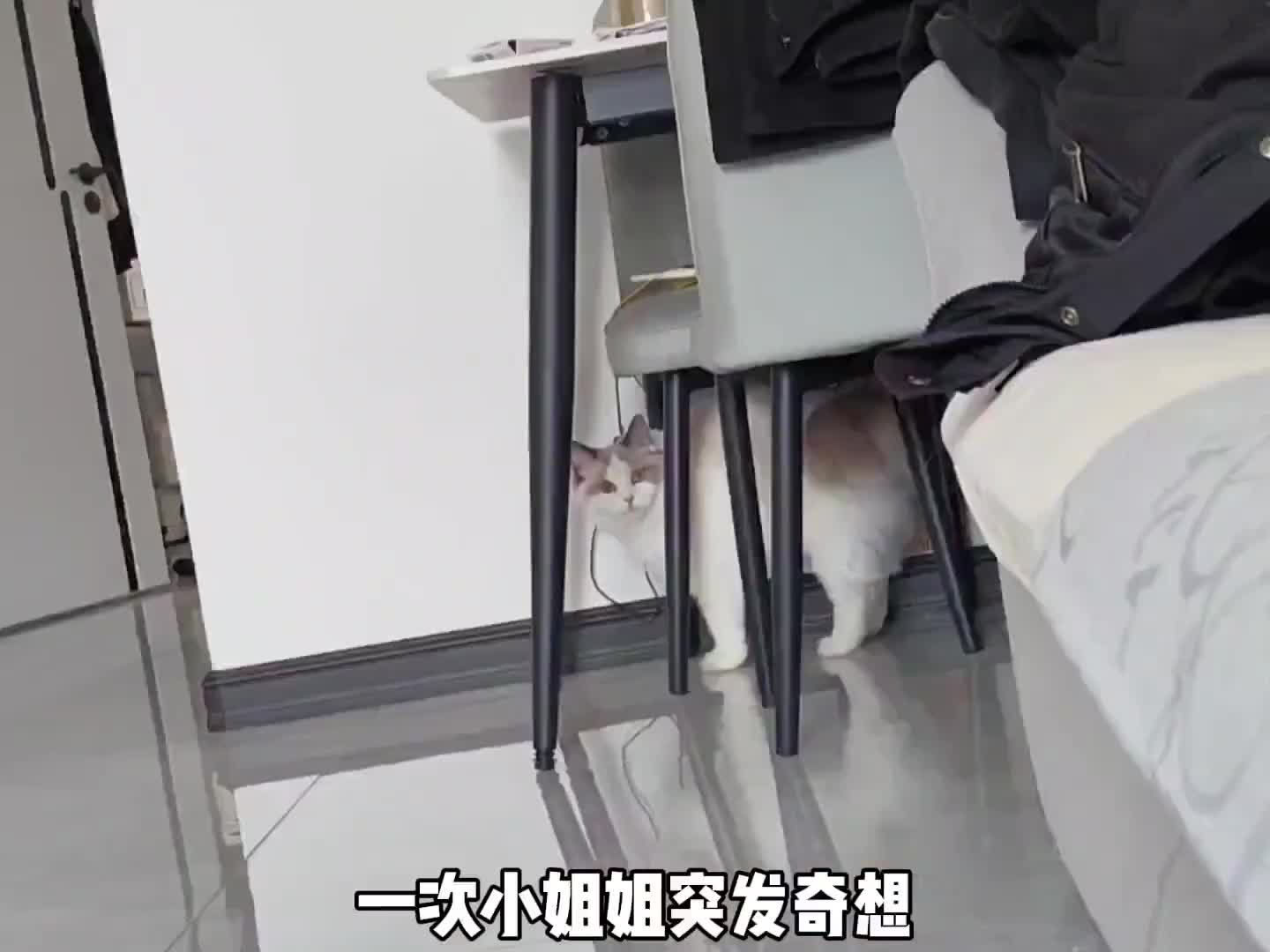 原来这个世界上真的有轮回！