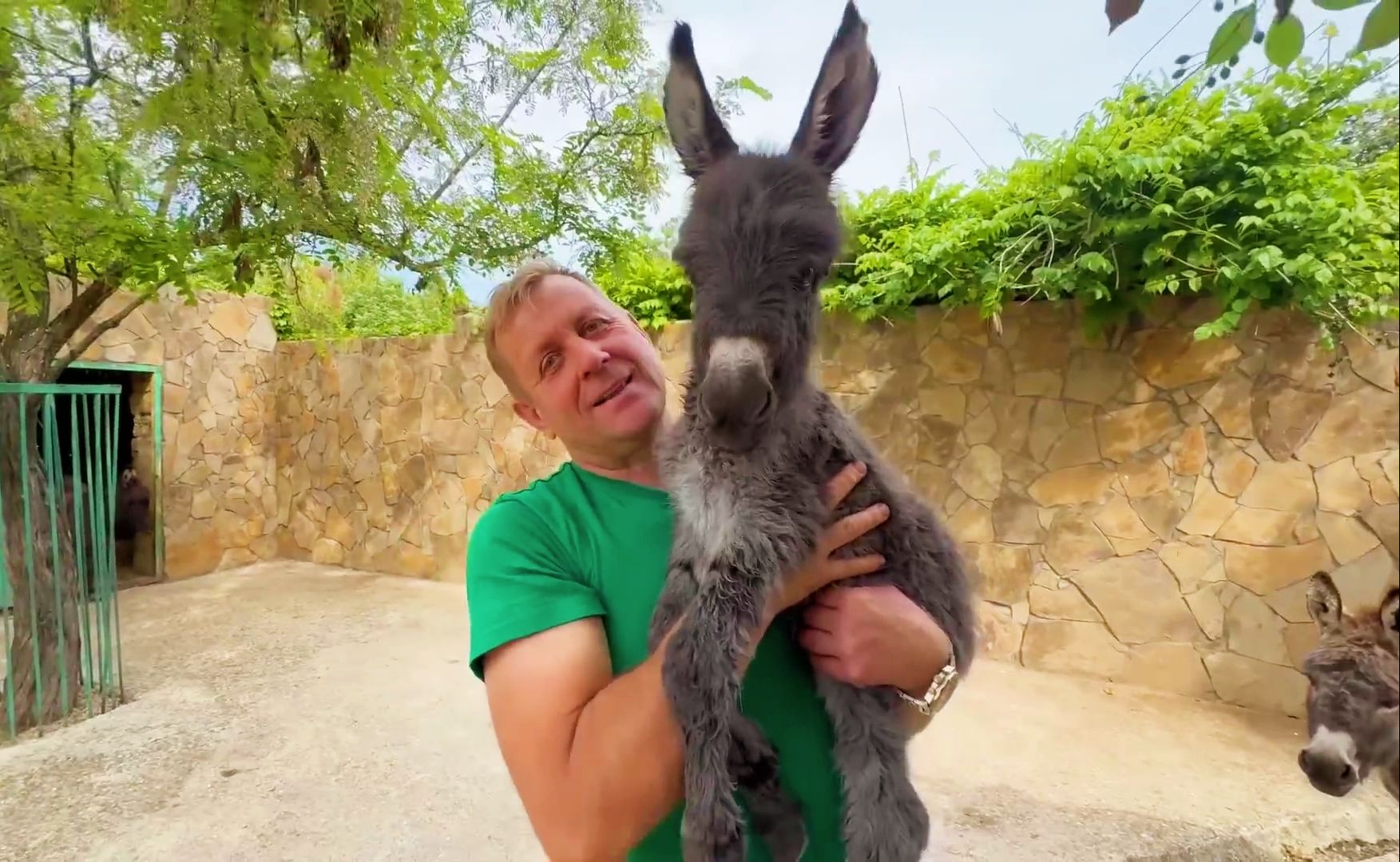 非常好的迷你驴宝宝，使我亲个不停！