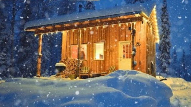 暴风雪持续两天，一人一狗在林中木屋生活，夜晚外面寒风刺骨，屋内温度如春