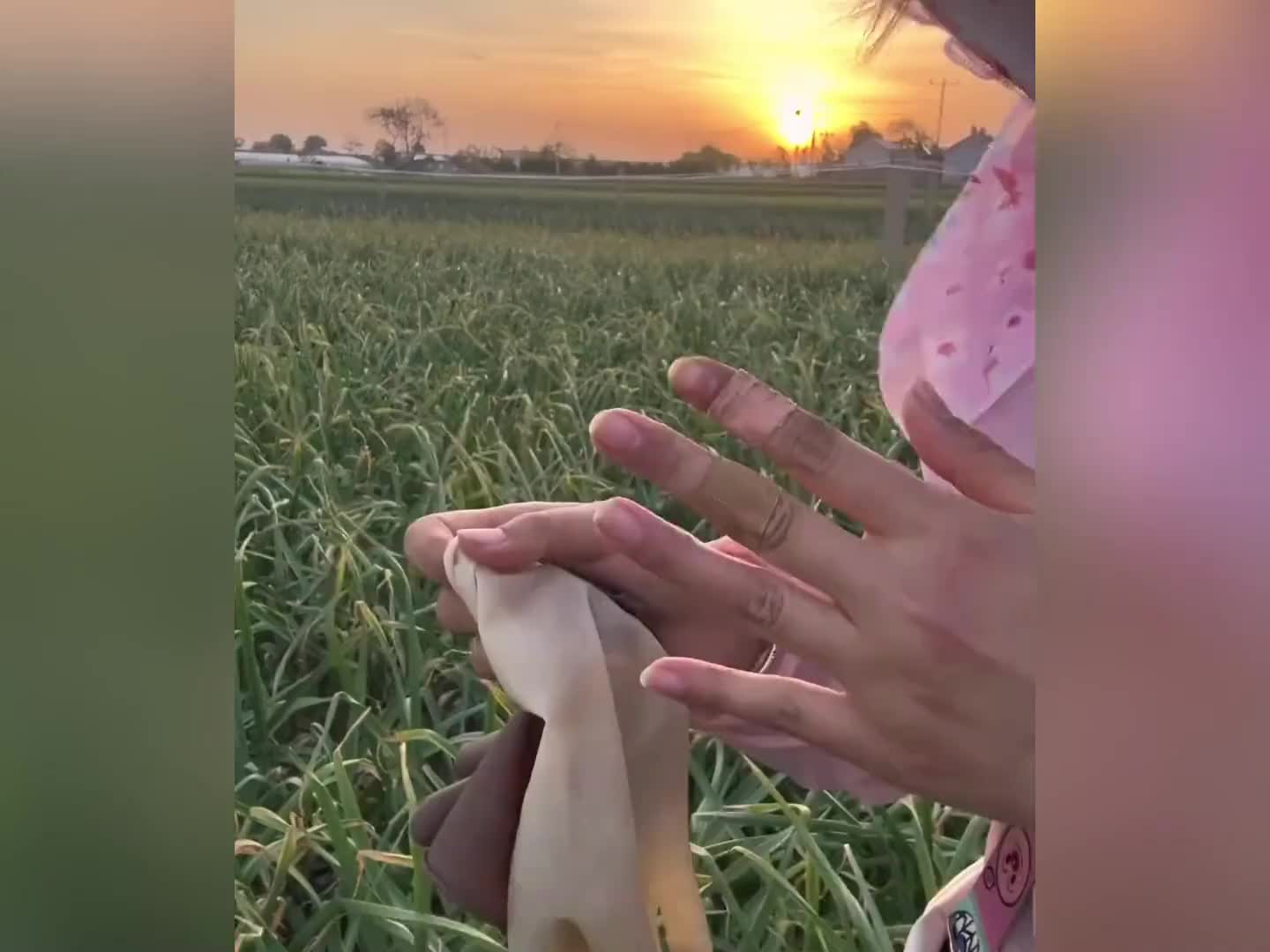 或许五一假期的意义不是出游打卡而是回家帮父母一把！