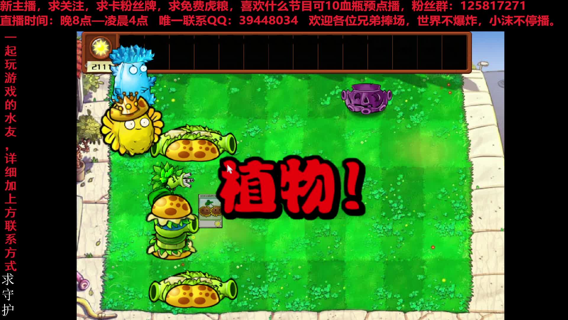 【苏沫】盒子无敌后出BUG的绝望，你见过吗？