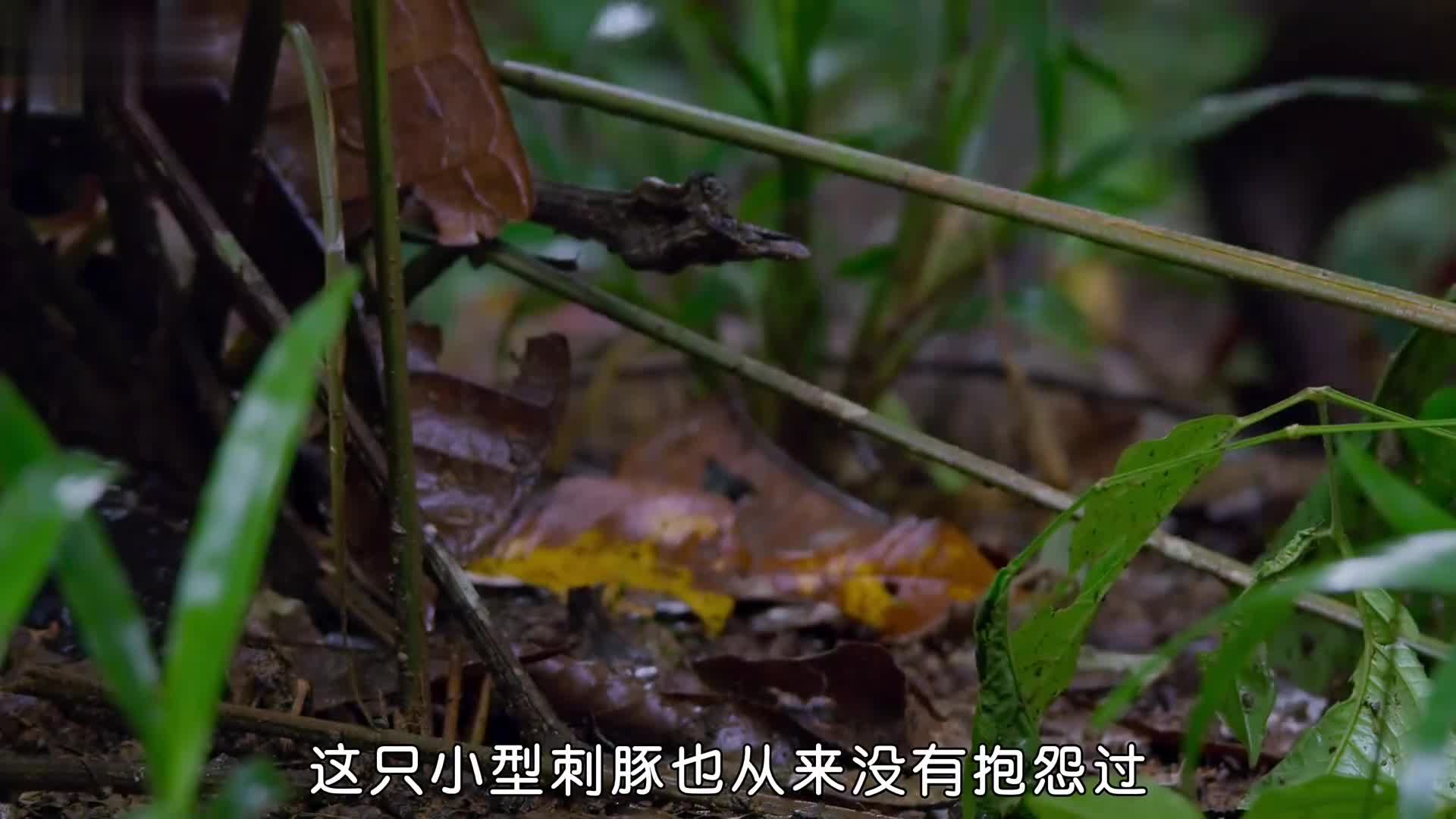 这是喷射的什么液体，还很粘