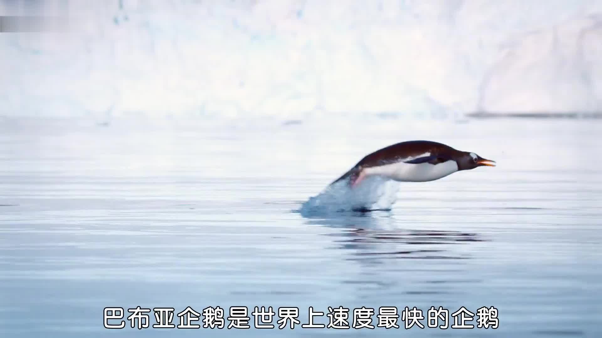 这演技不去好莱坞演戏，白瞎天分了