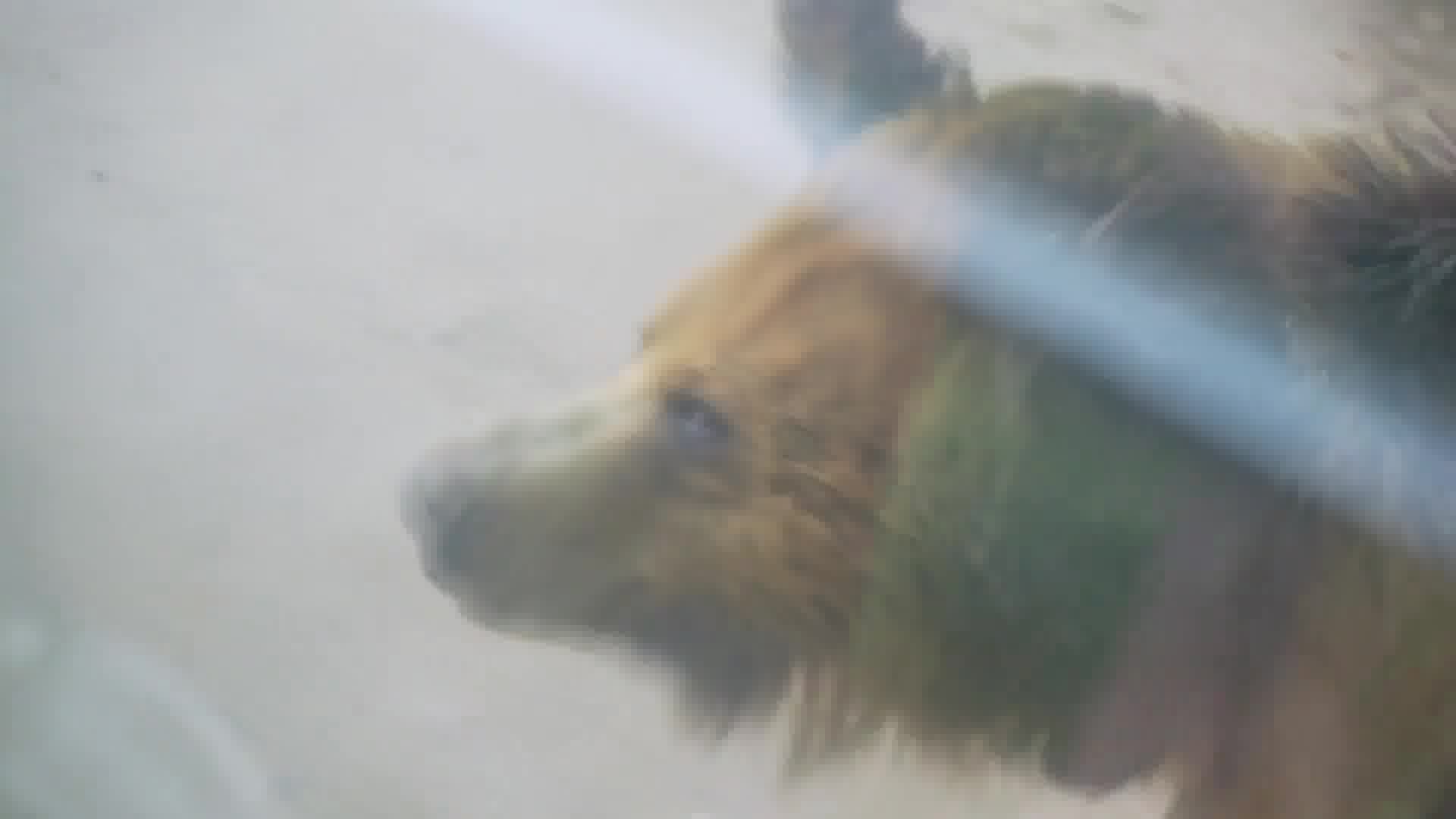 在这里可以和野生动物零距离接触