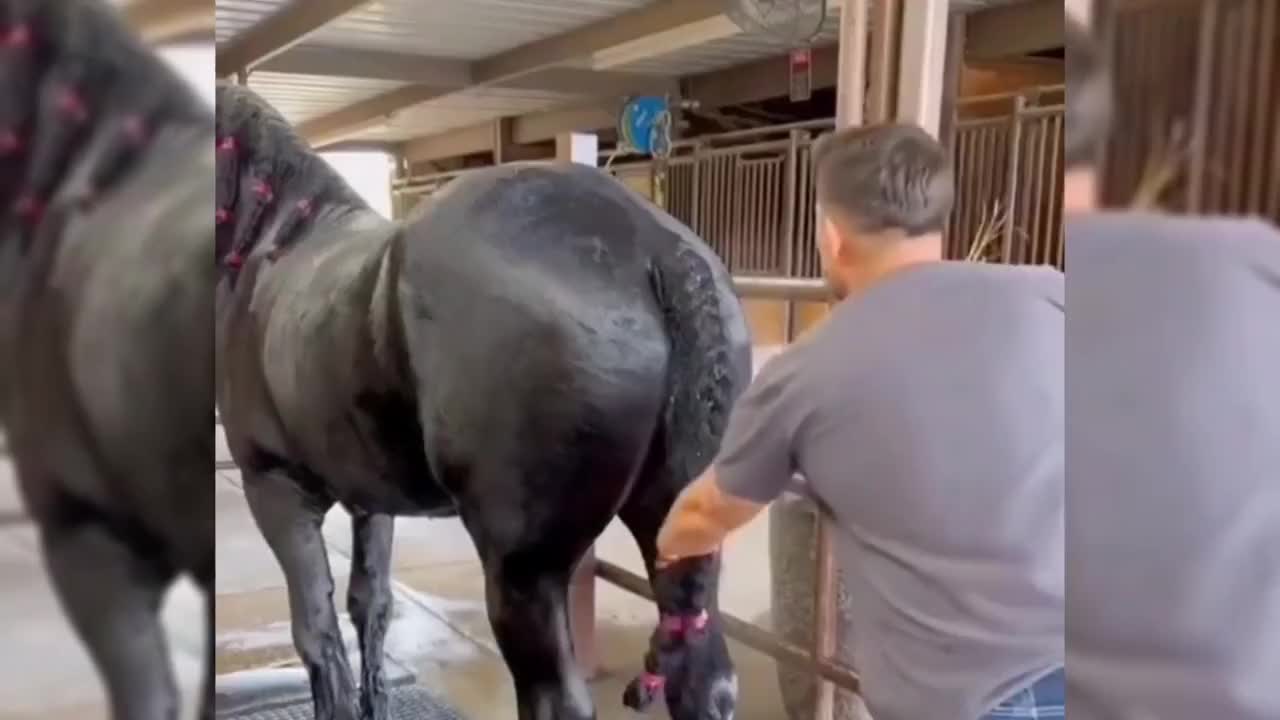 这就是有个不听话的宝宝的下场，为了宝宝把命给搭上了