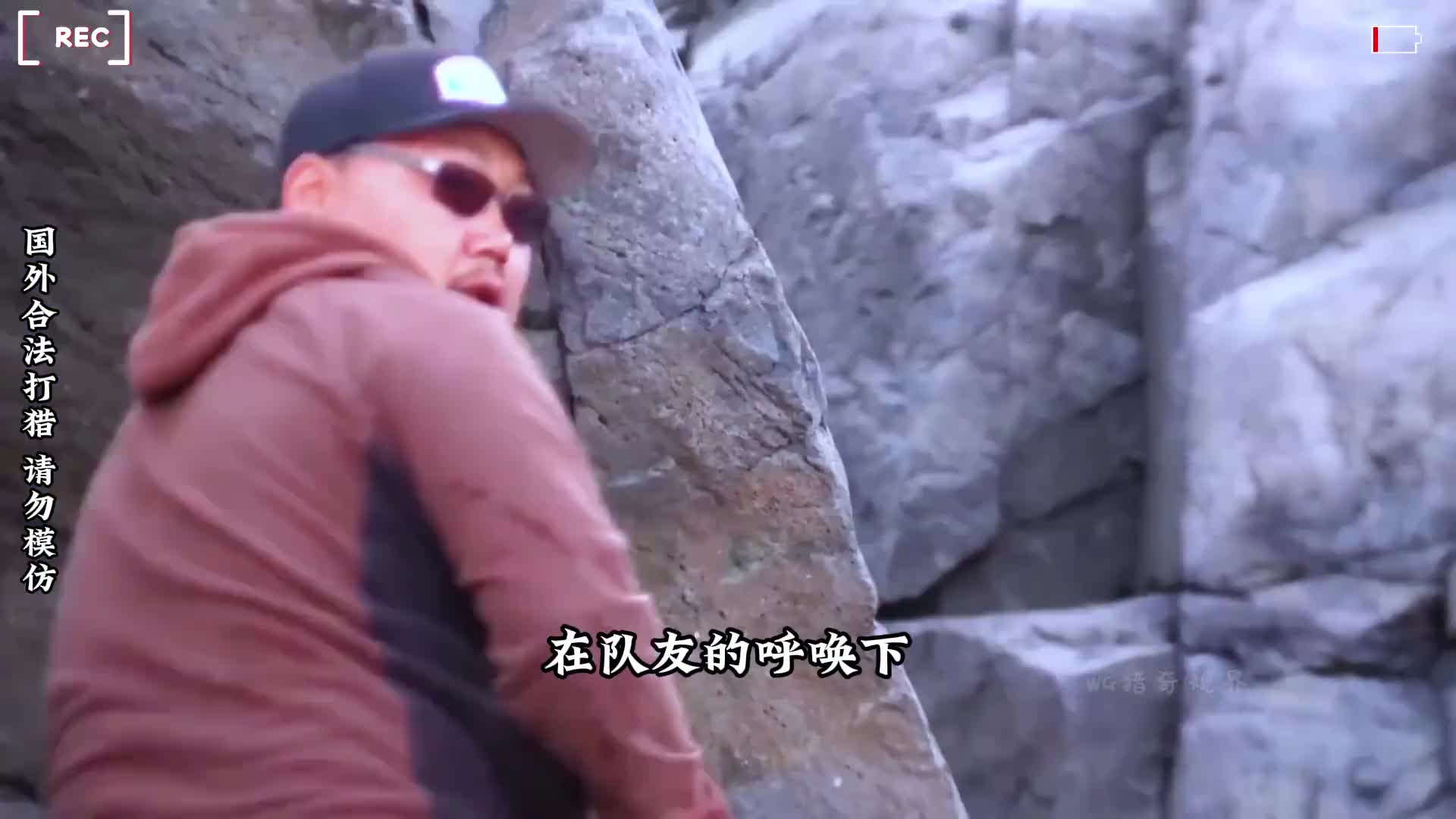 国外老六猎杀野生海象，只为了她嘴里的两颗牙