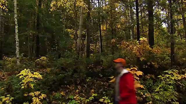 214. 后来在这住了两个月