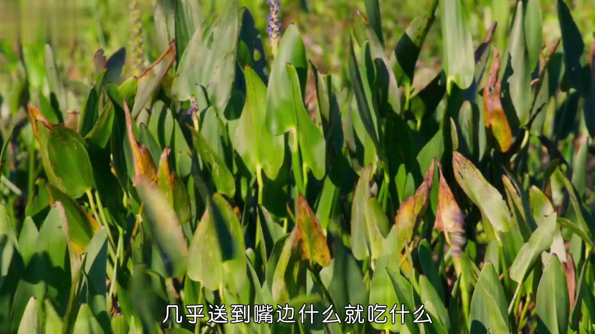 这里的天气比女朋友变脸还要快