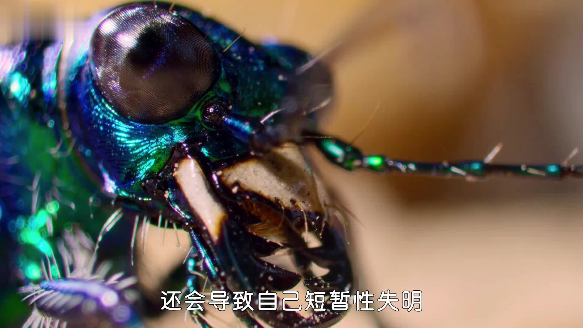 速度快到脑子跟不上：改装界大佬