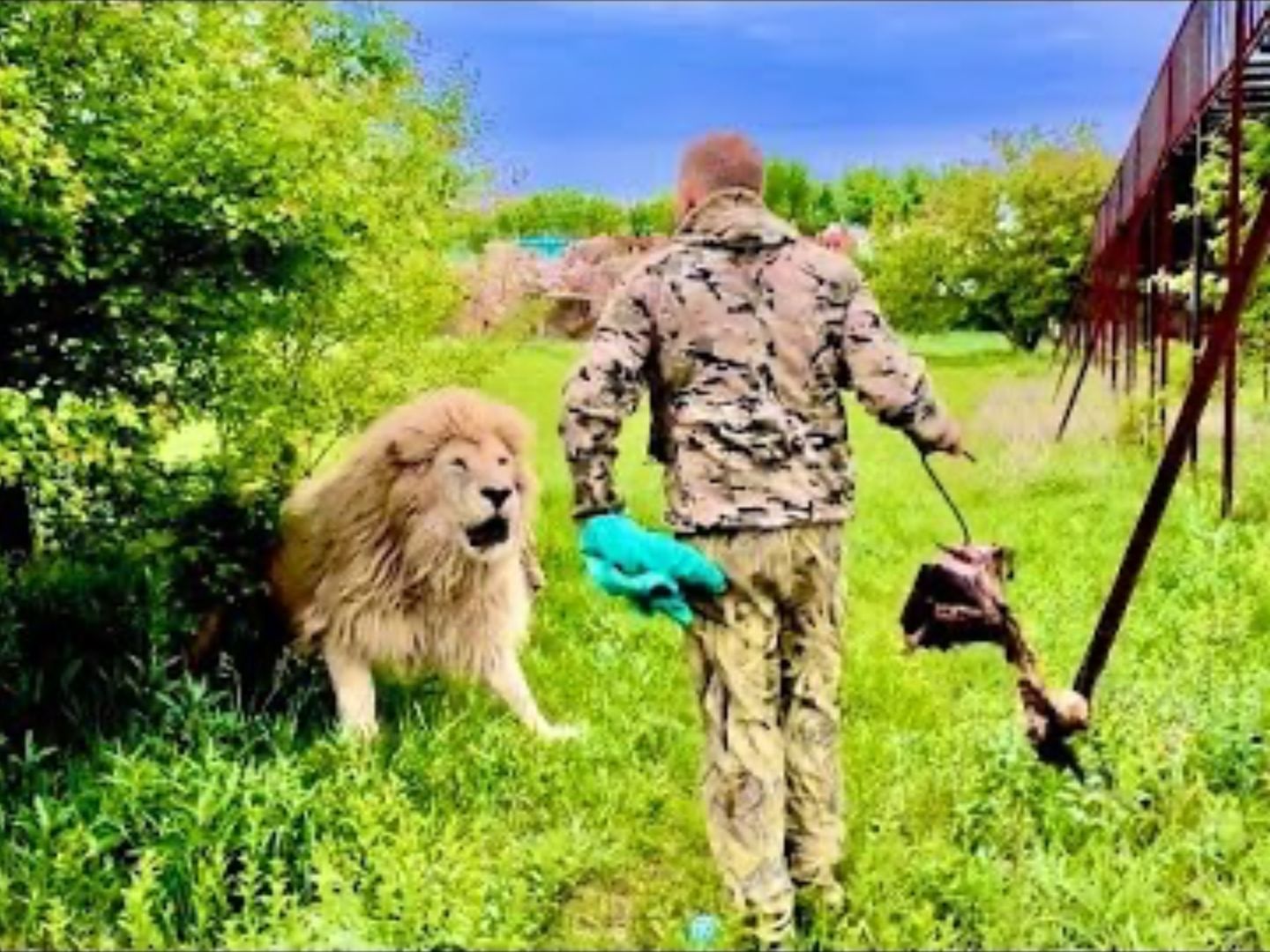 大傻春，你要干什么！