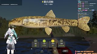 【俄羅斯釣魚4】77星，好久不蹲，一蹲就有