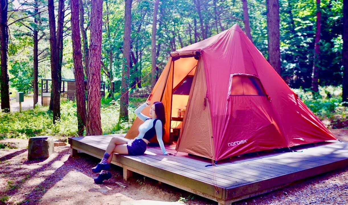 最适合单人露营、森林里最完美、夏天快到了，轻装上阵