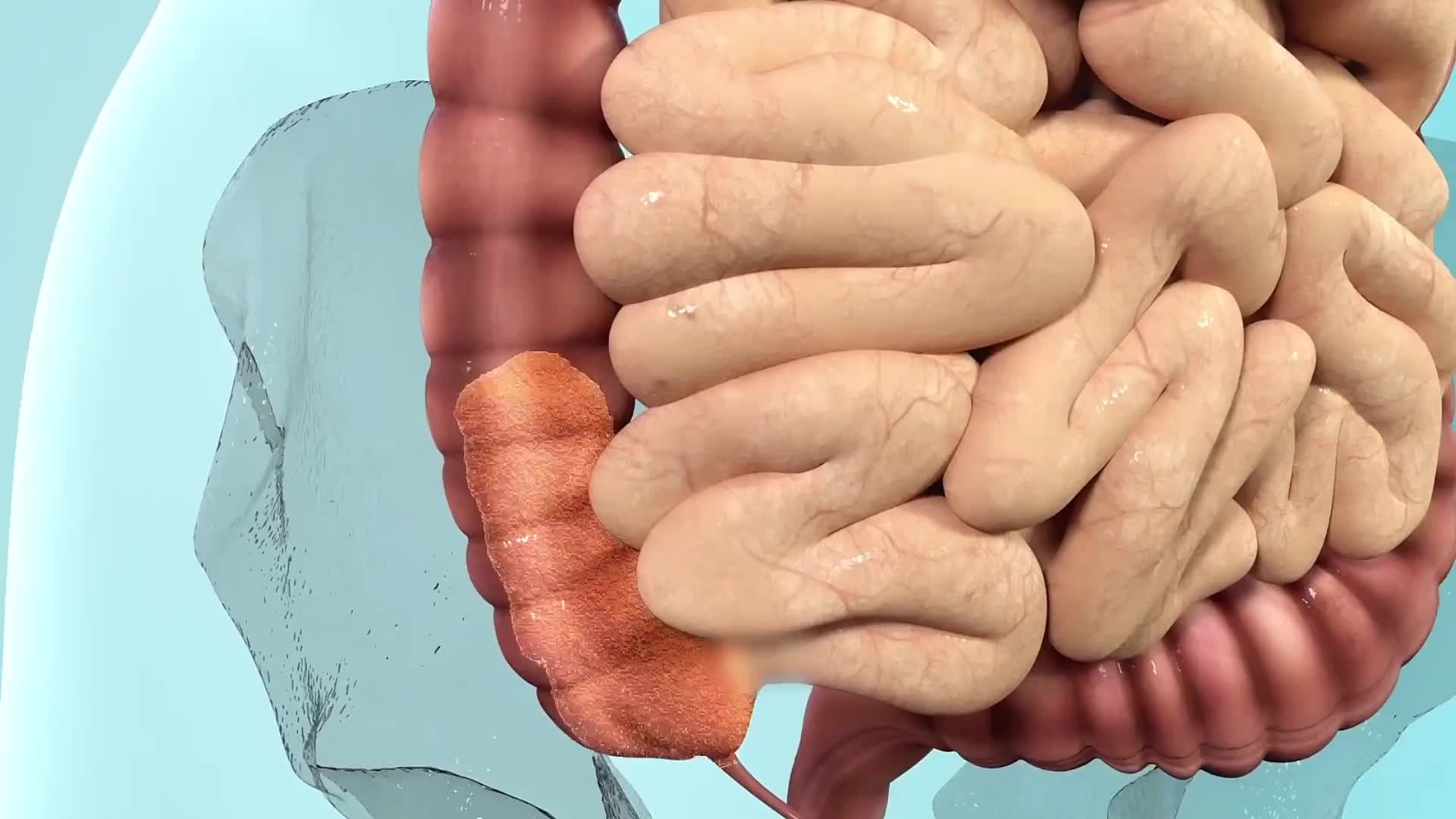 10. 到底是什么决定了你的胖瘦？