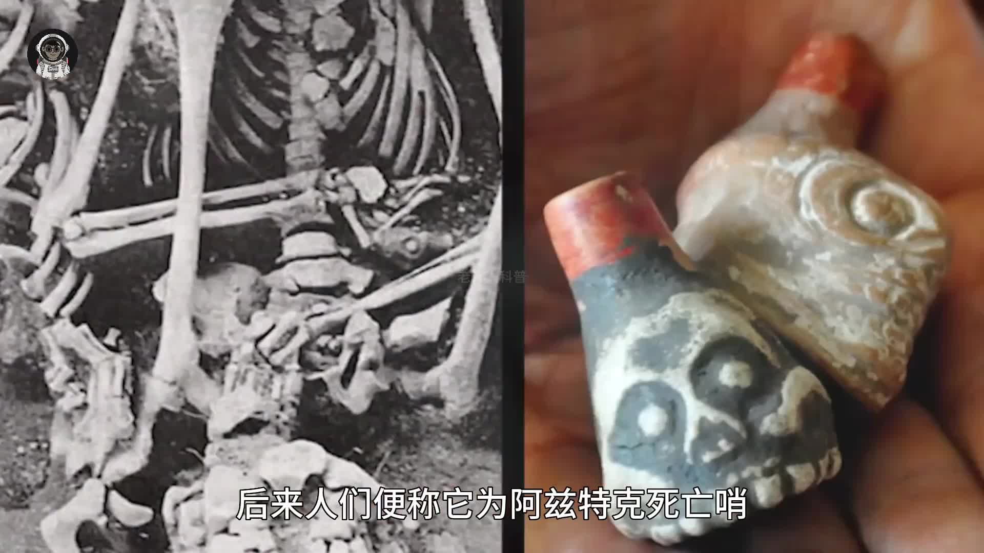 103. 阿兹特克死亡哨子，为何能发出如此恐怖的声音？