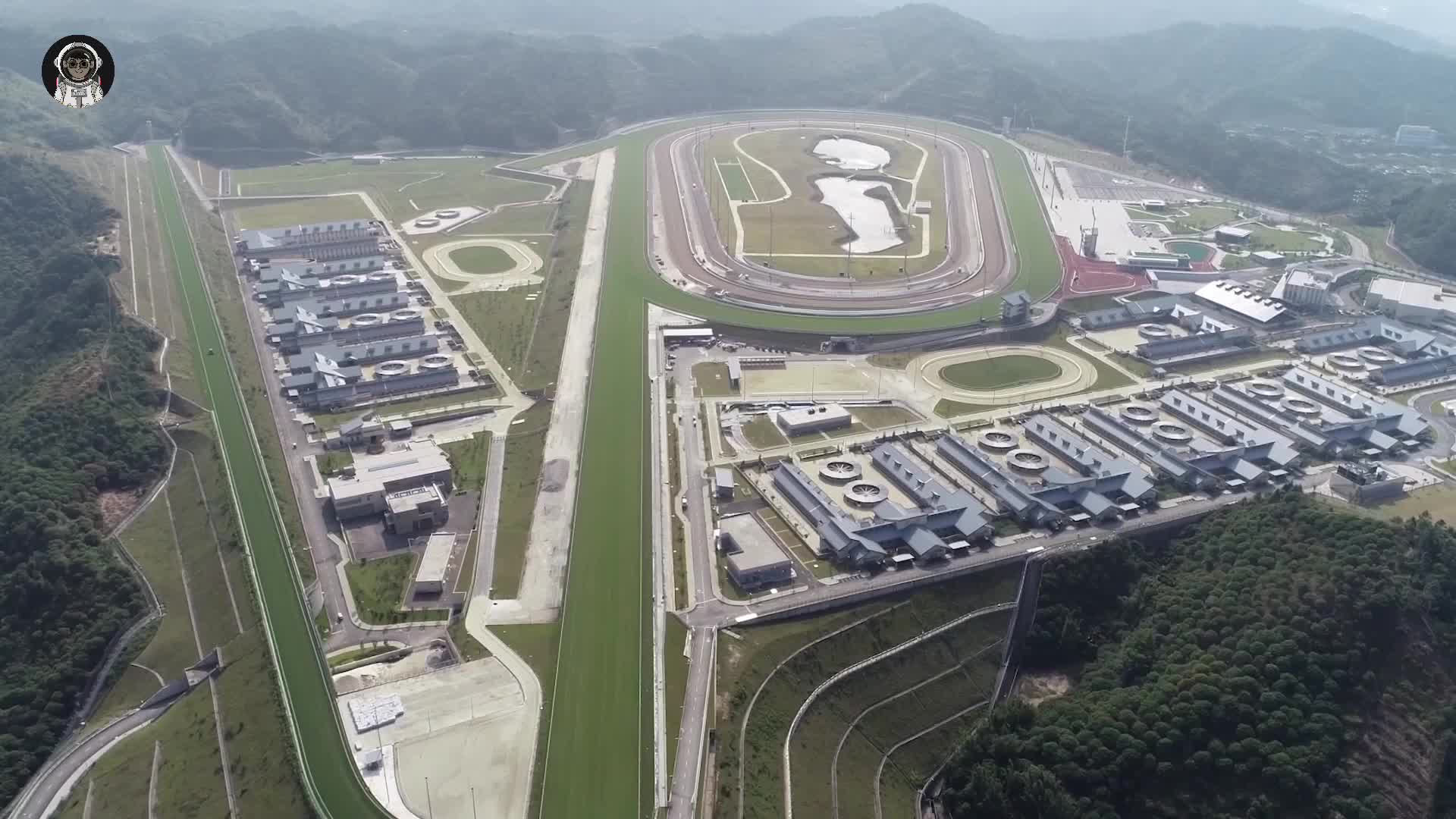 104. 你可能想不到，原来近代赛马运动的马匹福利竟然这么贵！