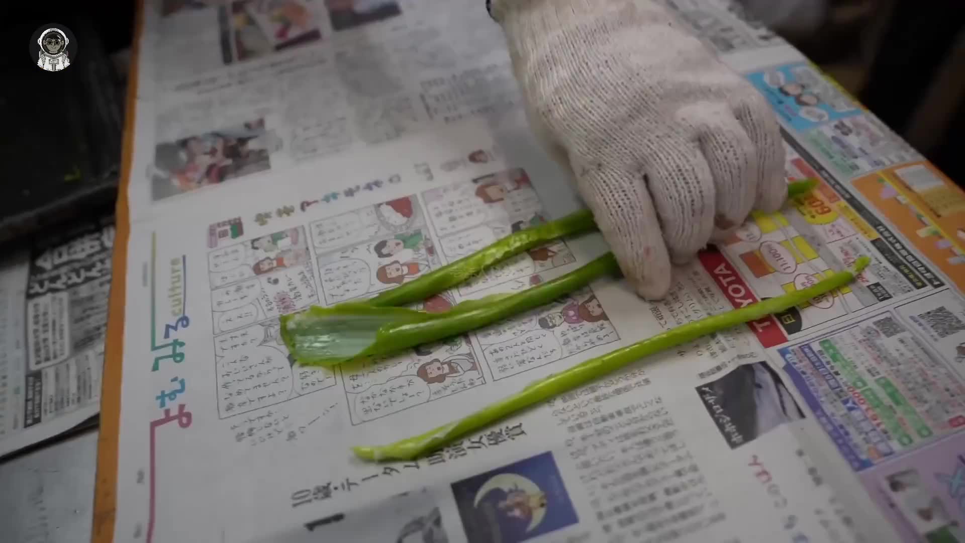 105. 能以假乱真的食物模型是如何被制作出来的？