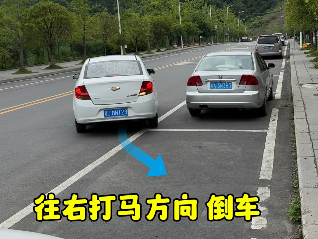 简单几步，掌握侧方入库的技巧#每天一个用车知识