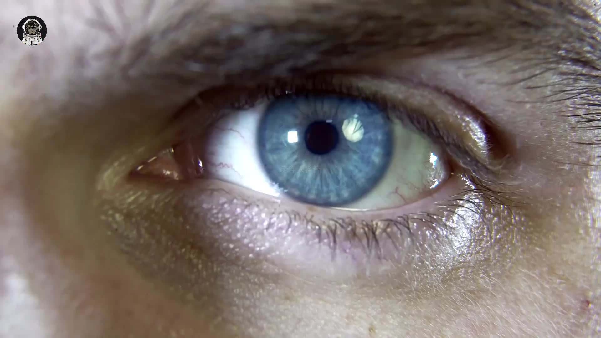 112. 如果将一颗眼球剖开，它的内部结构是怎样的？