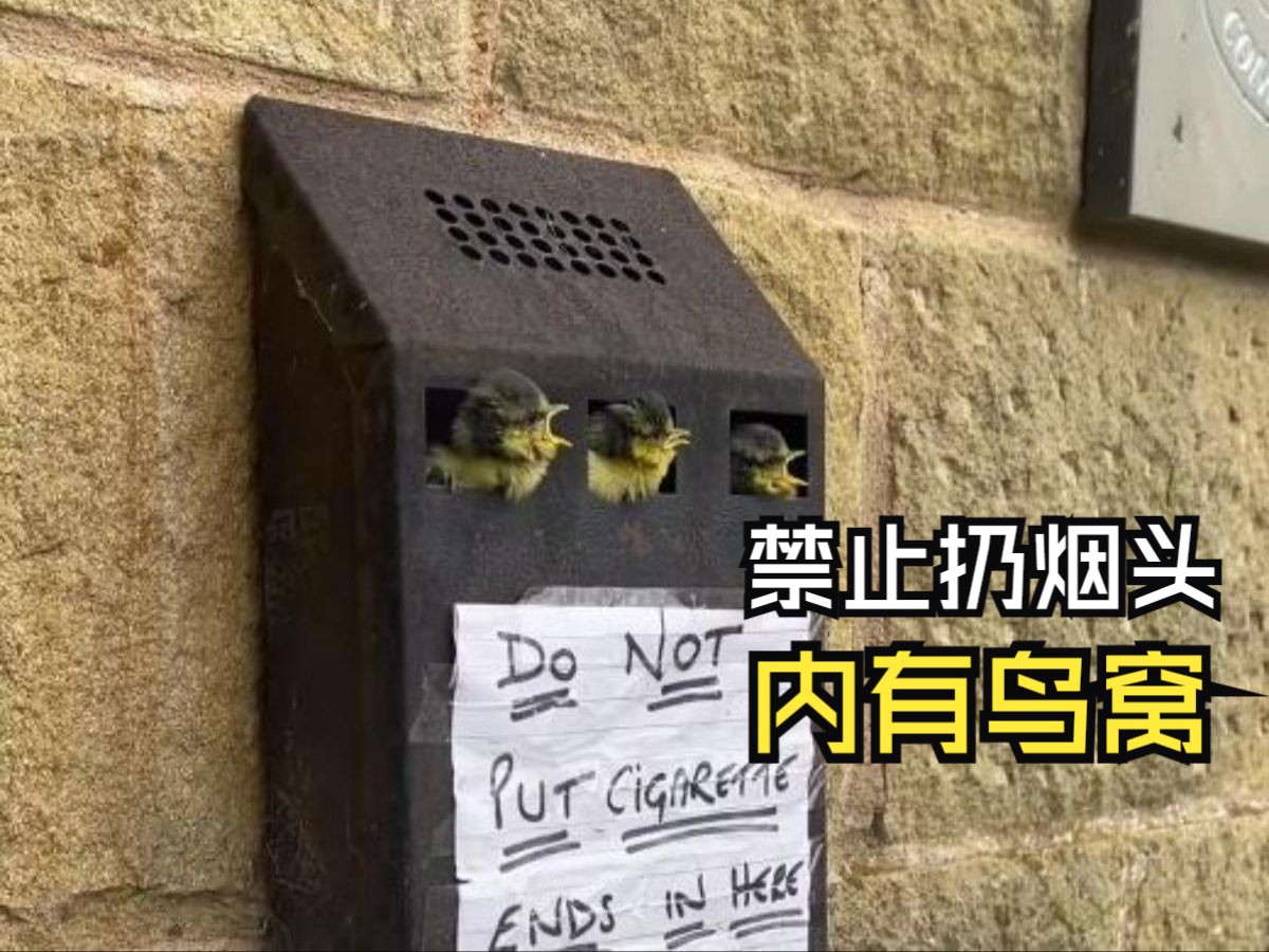 那些有爱的动物视频！