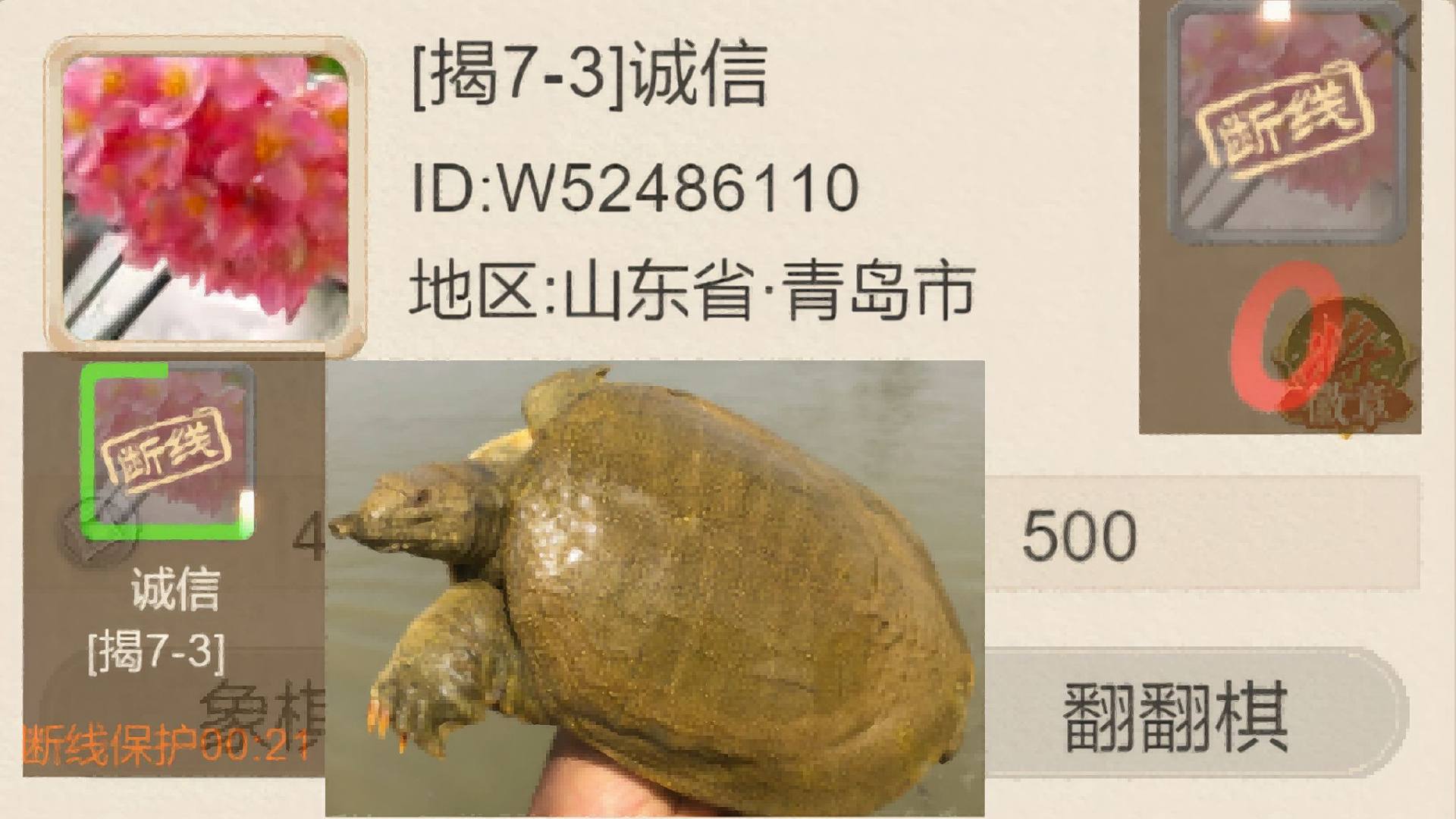 揭棋-你好诚信. 你真踏马诚信. 你妈你爸要知道你这么诚信. 早就掐死你了.山东青岛. 按理说不应该