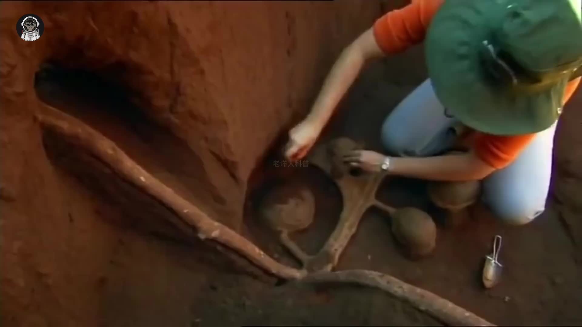 114. 如果把十吨水泥浆倒入蚂蚁窝会发生什么？