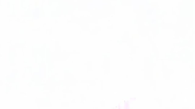 你是那个愿为我披上头纱的人吗？