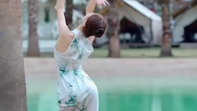 山茶花读不懂白玫瑰，北山的风吹不到南山尾