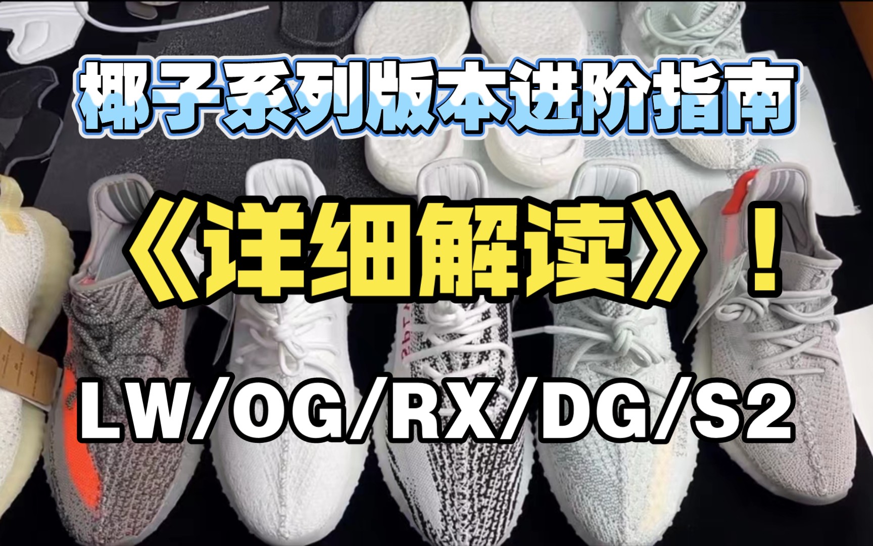 [小白必看指南] 2024年莆田椰子系列版本科普！全网强推！拒绝踩坑