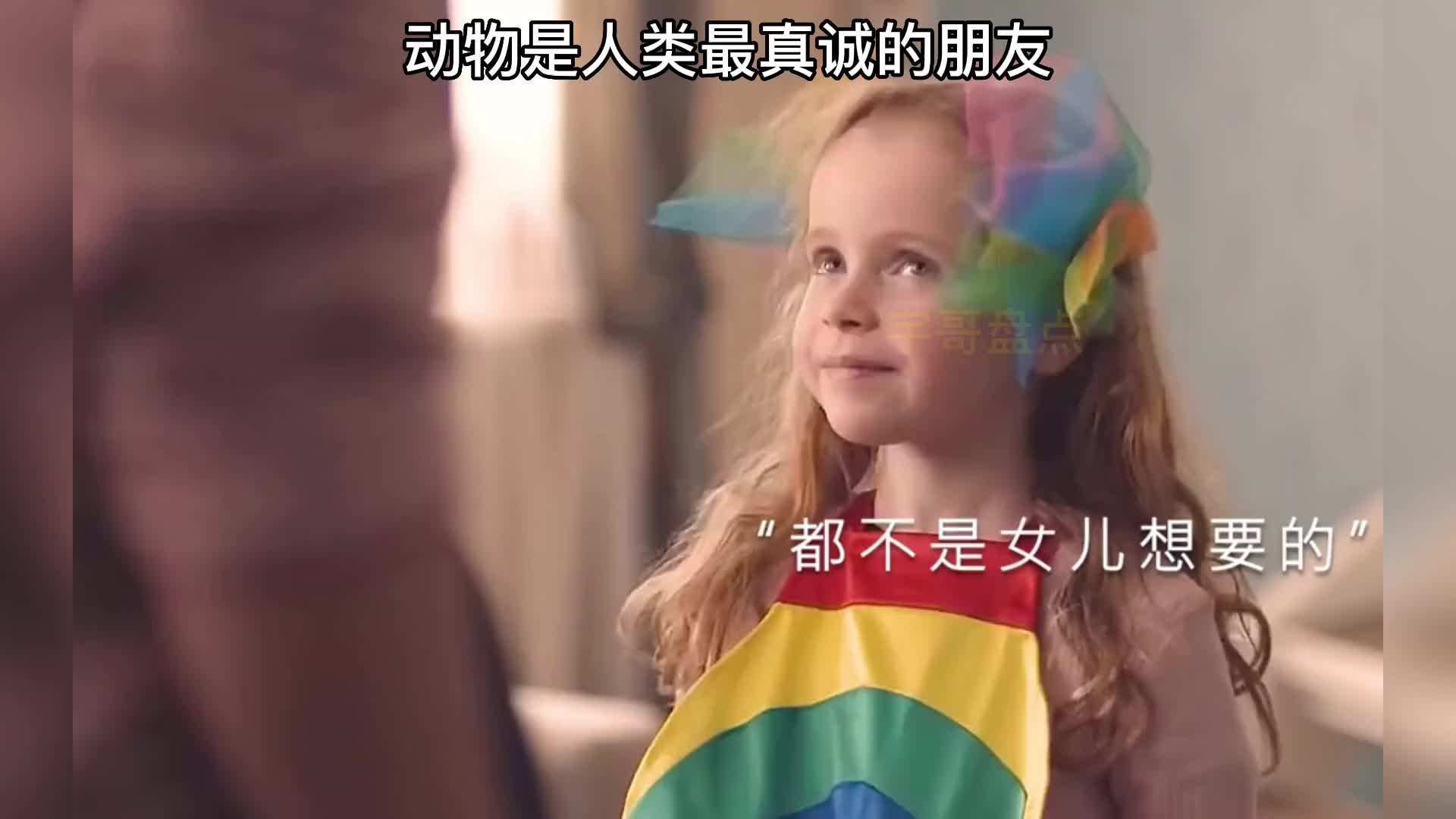 假如你的生命到了最后一刻 谁能陪你到最后呢？