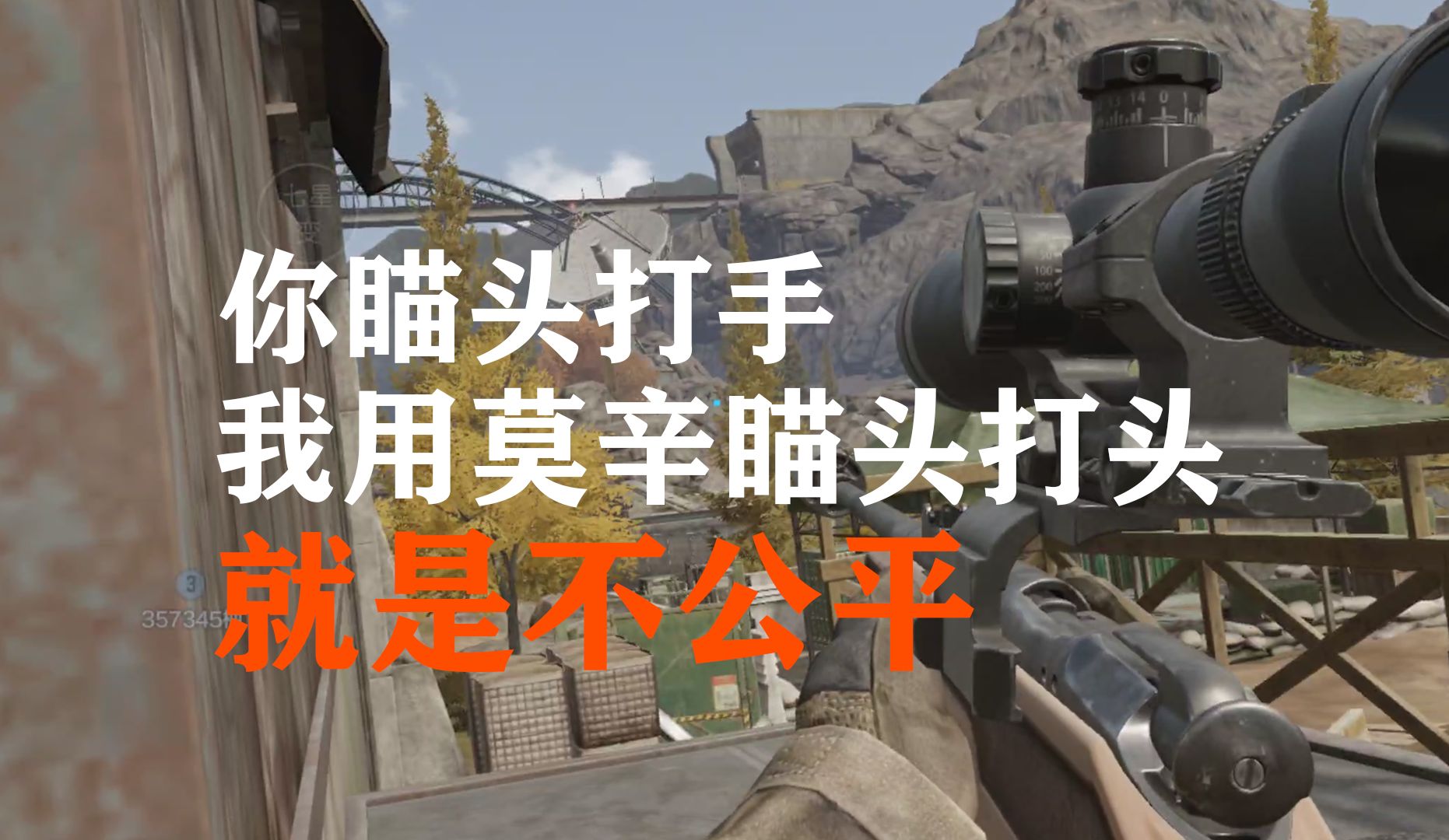 你瞄头打手，我用莫辛瞄头打头