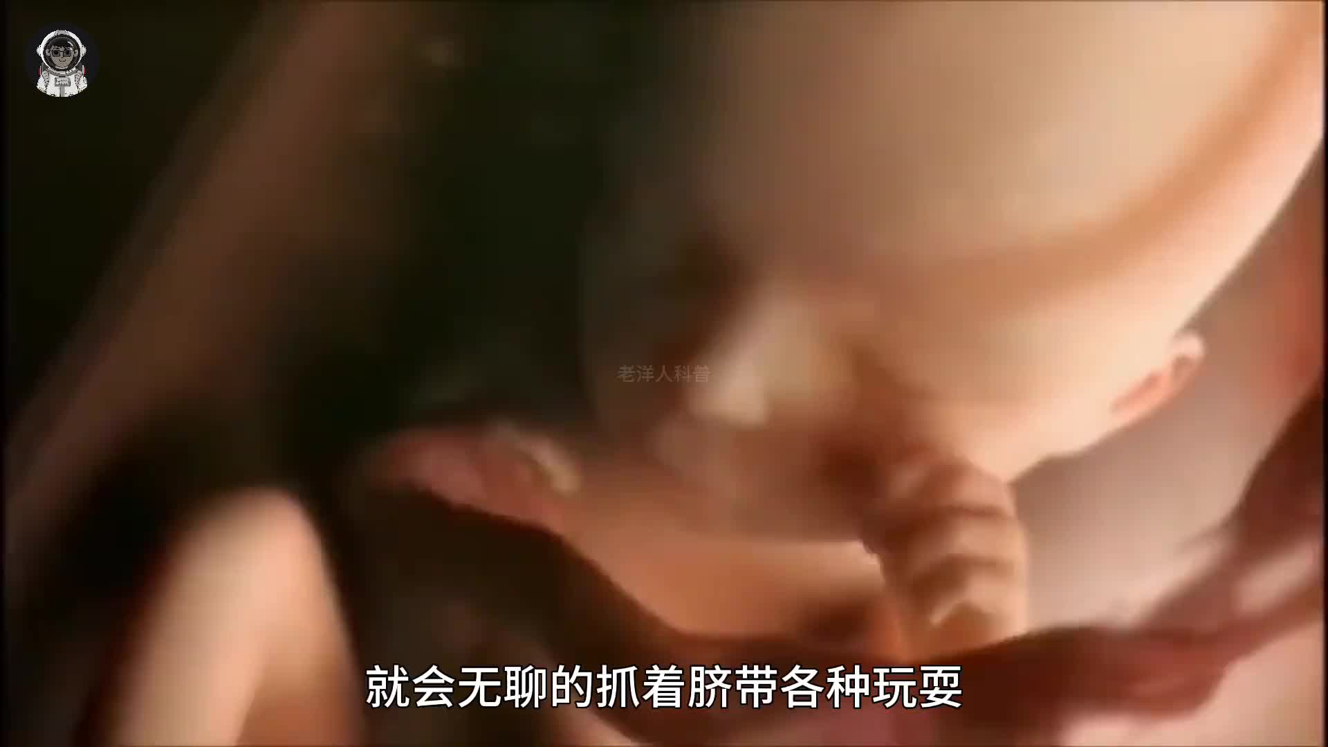 137. 当你还是个胎儿的时候，你知道你每天都在妈妈的肚子里干什么吗？