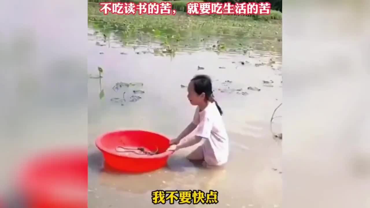 863. 盘点老爸高情商教育孩子，老爸这样教育孩子，孩子想不懂都难。