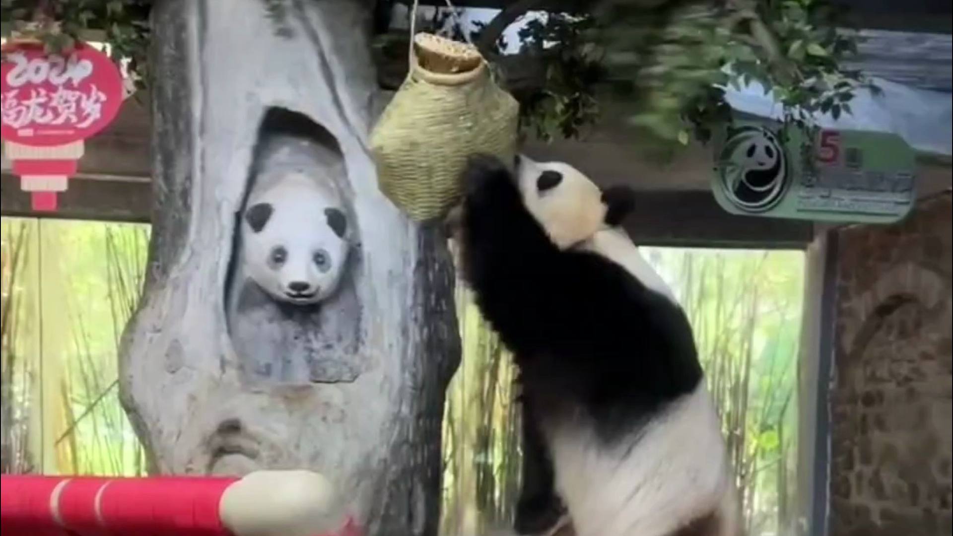 贡贡说努力就会有收获的！高考加油呀！