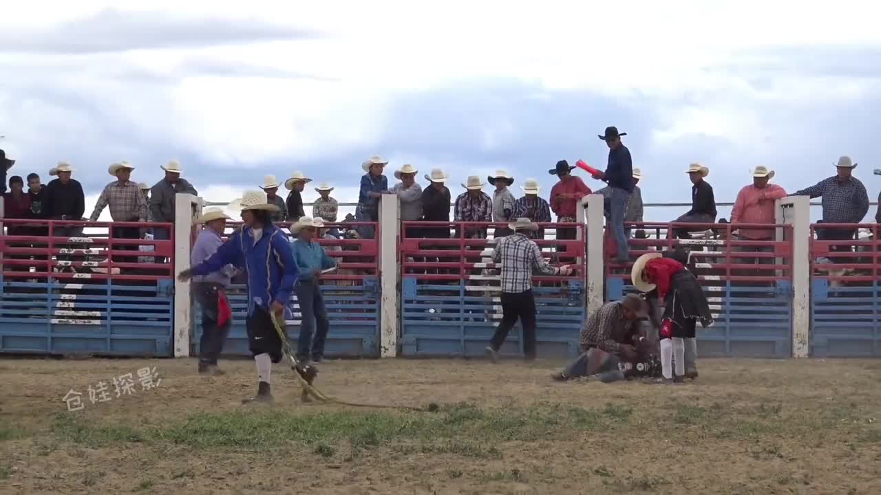 骑牛比赛，获胜奖励一达不溜美刀