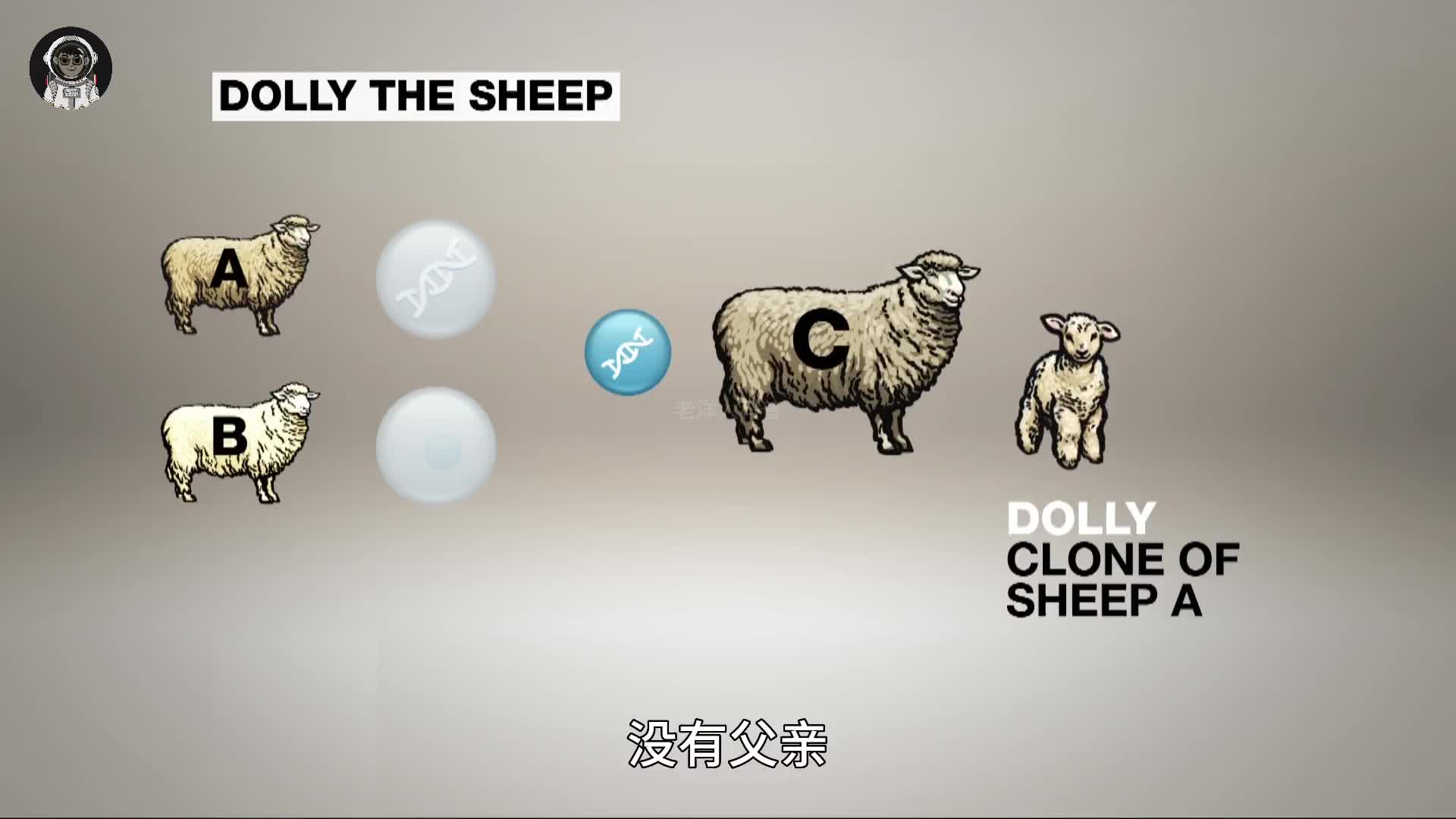 149. 克隆羊多莉的一生，从诞生到死亡有多悲惨？