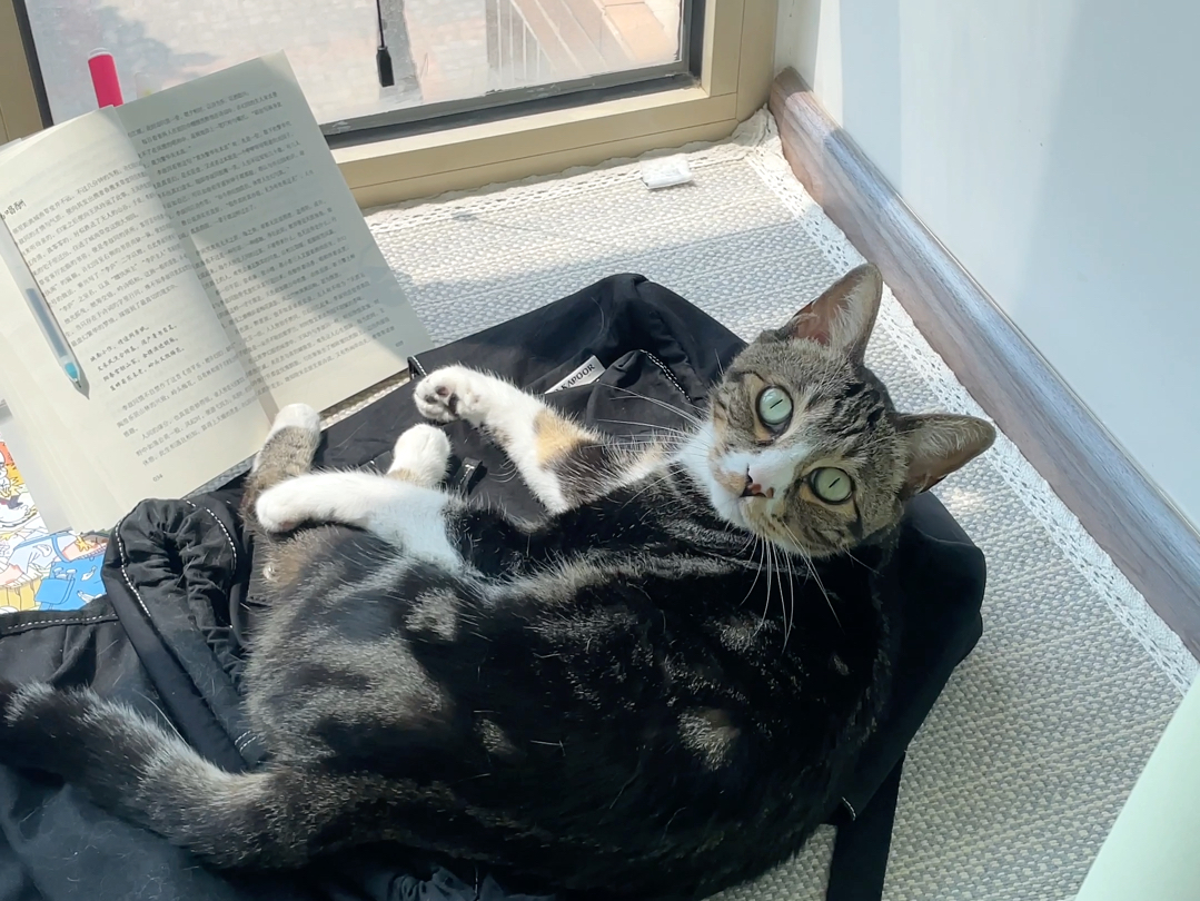 祝所有考生取得好成绩！