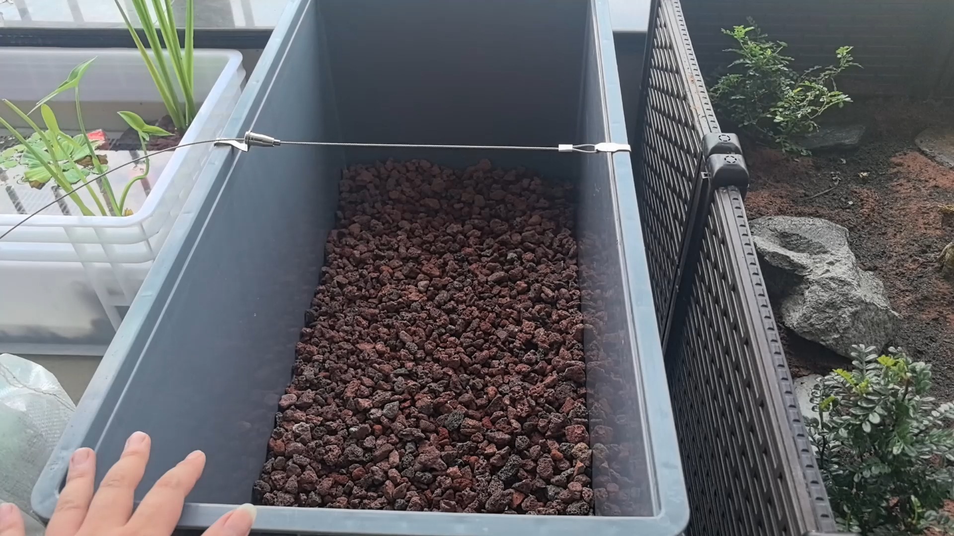 新手养龟推荐分享开个南石缸讲讲自己的一些经验