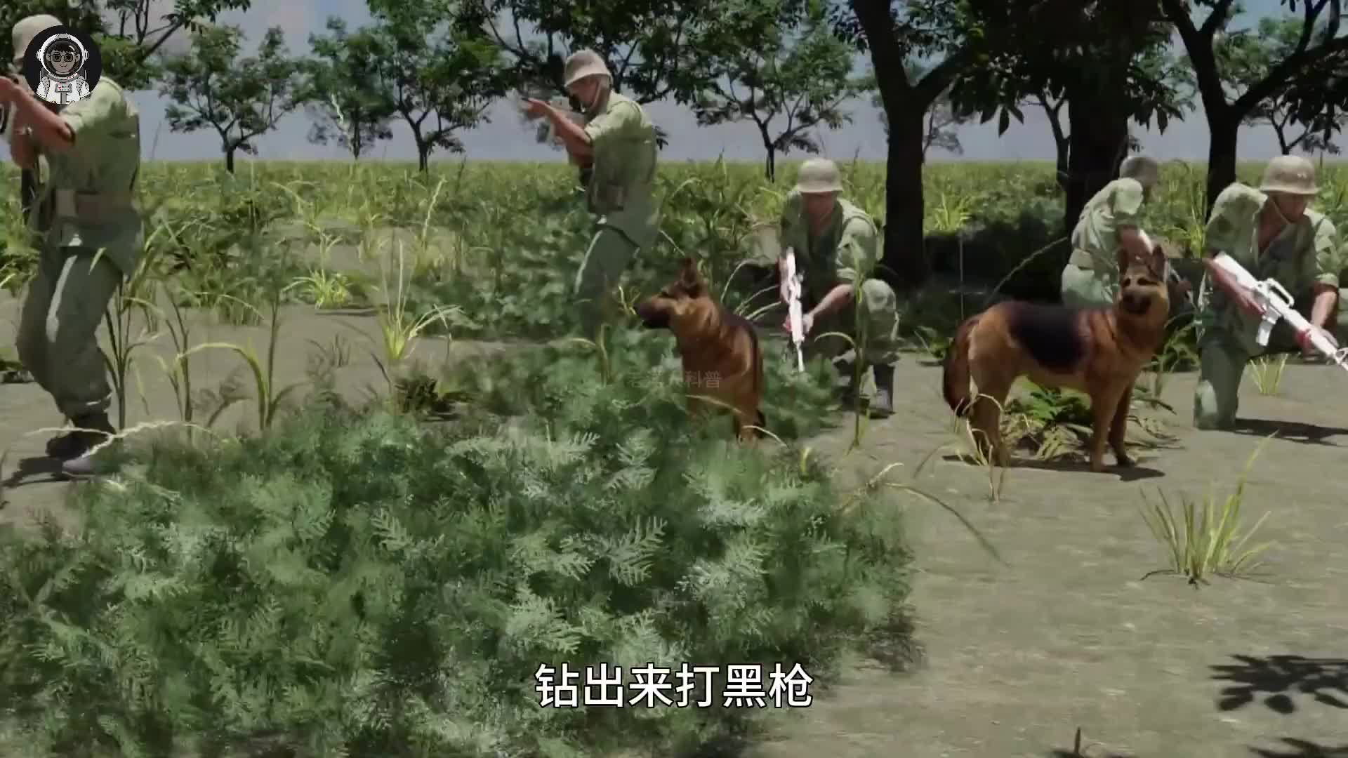 151. 发明地道战的人真是个天才，美军在这里吃尽了苦头