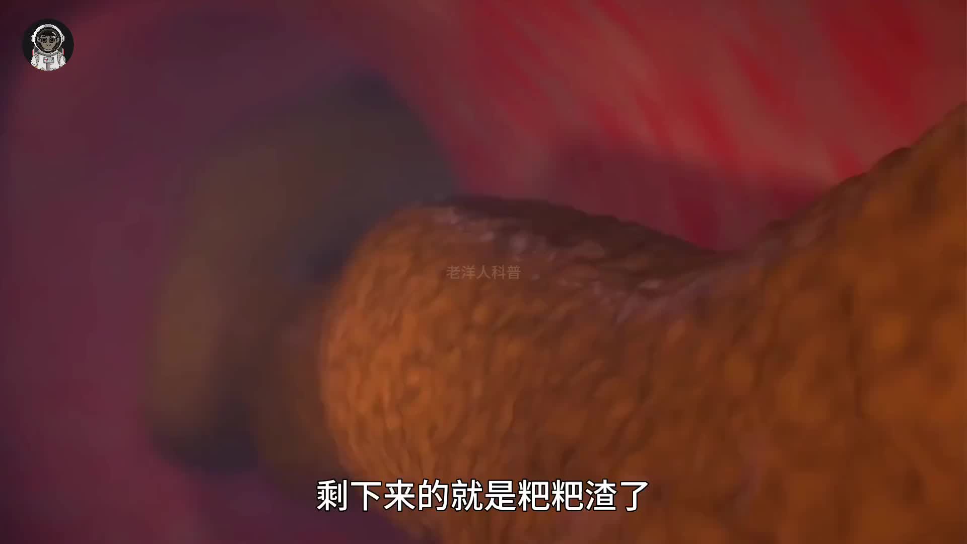 153. 为什么粑粑都是棕色的，而且还特别的臭呢？