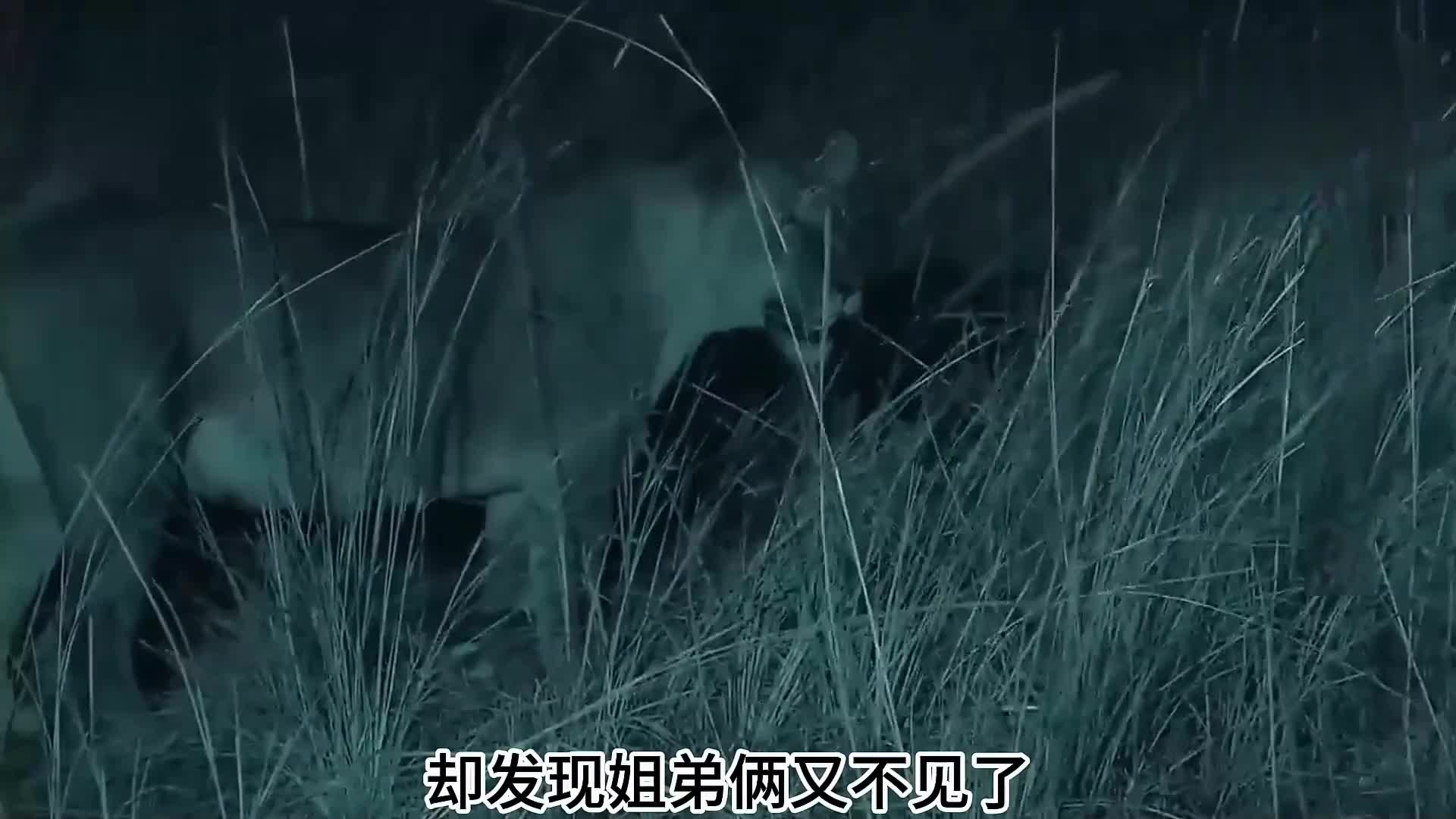 《狮 王 穆 府 莫》（2）